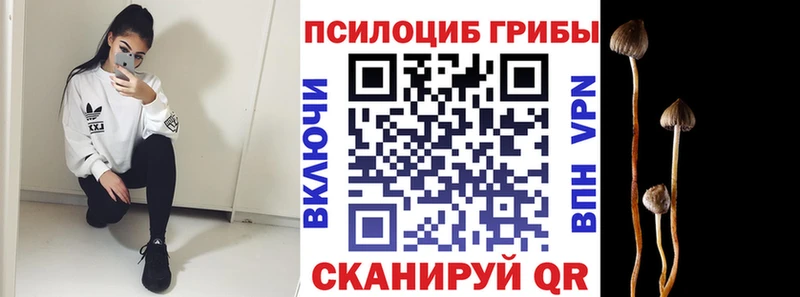 Псилоцибиновые грибы мухоморы  Среднеколымск 